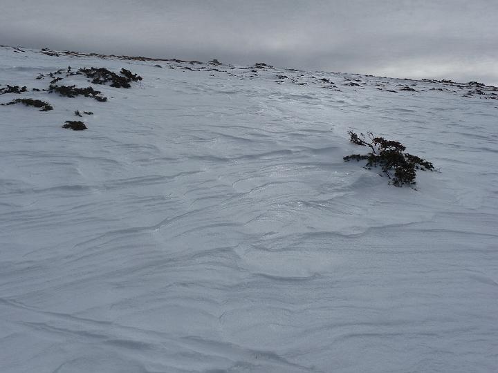 SarratDeLaPelade2009 021.jpg